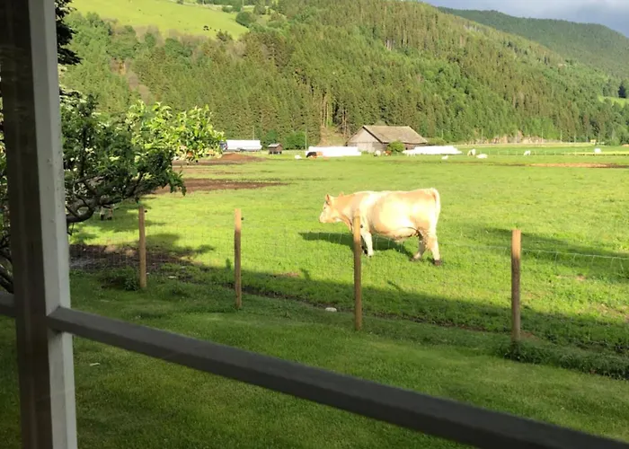 Villa Soltun Ringebu